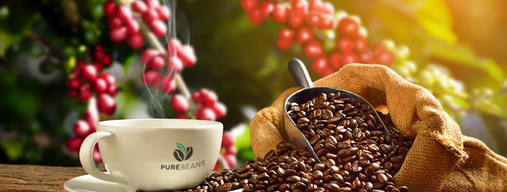 Về chúng tôi - PureBeans Coffee